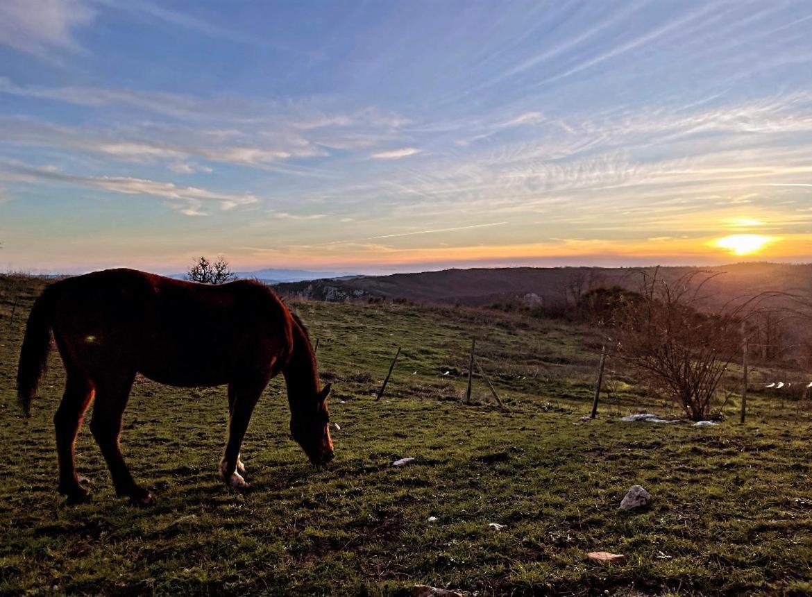 Podere Casagrande Villa Roccalbegna Dış mekan fotoğraf